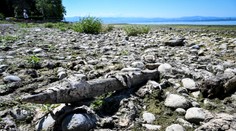 Vyschne jedno z najväčších jazier v strednej Európe? Jeho hladina sa blíži k historickému minimu