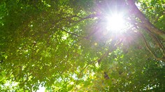 Počasie: Konečne sa oteplí, koncom týždňa vystúpia teploty nad 30 stupňov