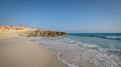 Ľudia si odtiaľ odnášajú krvavé rany. V obľúbenej španielskej destinácii sa množia útoky agresívnych rýb