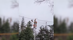 VIDEO: Kocúr uviazol na stĺpe, no pomoc odmietol. Zoskočil dole záchrancovi pred nosom