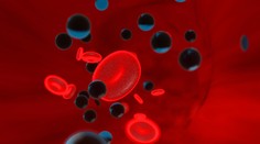 Tušili to, no chýbal dôkaz: V ľudskej krvi prvýkrát našli plastové častice