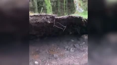 VIDEO: Psíčkara zaskočil nevídaný prírodný jav. Silný vietor nadvihoval časť lesa