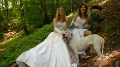 V Bratislave sa sobášilo i netradične, pomáhal pes