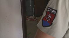 Otrasný prípad z ranča v Nemeckej: Vzácneho klokana niekto zastrelil a odzeral mu hlavu