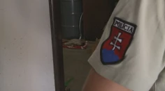 Otrasný prípad z ranča v Nemeckej: Vzácneho klokana niekto zastrelil a odzeral mu hlavu
