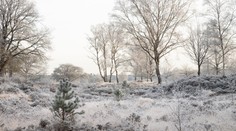 Mráz, poľadovica i silný vietor. Meteorológovia na stredu vydali viacero výstrah