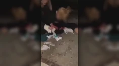 Odkaz Štefana Hamrana verejnosti a politikom: Disponujeme informáciami, ktoré nikto iný nemá