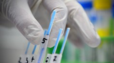 V Česku vypukla chrípková epidémia, ochorenie hlásia zo všetkých krajov