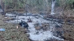 VIDEO: Tri ruské drony zasiahli územie NATO. Rumuni vyhlásili poplach a vydali varovania pre obyvateľov