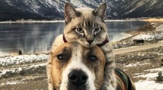 Bez seba ani na krok: Netradiční parťáci zažívajú na cestách samé dobrodružstvá