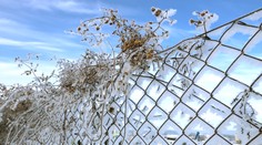 Na Slovensko prichádza ochladenie aj nočné mrazy, oteplí sa až o pár dní