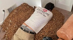 Odborník na hubenie škodcov zostal v šoku. V stenách budovy našiel niečo, s čím sa ešte nestretol