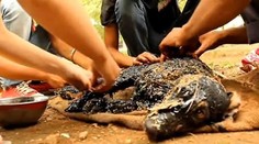 Psík spadol do asfaltu a skamenel