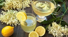 Domáci bazový sirup