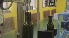 Potraviny budú nielen drahšie, ale niektoré môžu aj chýbať. Napríklad olej