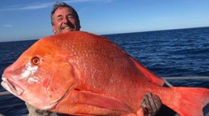 Skúsený rybár zaznamenal životný úlovok. Váha tohto obra mu vyrazila dych