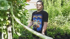 Okrem rekordnej uhorky skrýva rocker v záhrade aj ďalšie unikáty