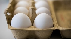 Škandál s kontaminovanými vajcami zasiahol 26 štátov EÚ