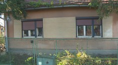 Navzájom sa množili, mali blchy a nádory. Po kolapse majiteľky zachránili z domu hrôzy 14 psov