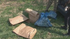 Neďaleko Nového Mesta nad Váhom objavili desiatky otrávených vtákov