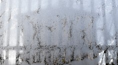 Pozor na nočné mrazy: Na väčšine Slovenska sa môže ochladiť až na mínus sedem stupňov