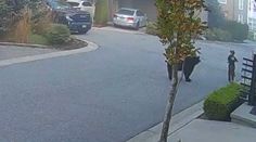 VIDEO: K chlapcovi sa rozbehol medveď, nebyť rýchlej reakcie suseda mohlo dôjsť k tragédii