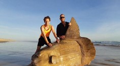 Na austrálskom pobreží sa objavila vzácna ryba. Stret s ňou by mohol poškodiť loď či jachtu