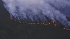 Požiare na Sibíri a v Amazónii: Vysoká cena za nelegálnu ťažbu dreva a lacné hovädzie mäso