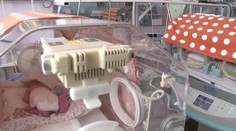 Príbehy nedonosených detí z fotografií. Tomáškovi nedávali šance