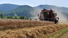Maďari čelia žalobe pre pravidlá predaja pôdy cudzincom