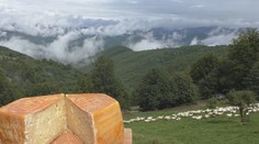 Kráľovské výhľady, jedinečné buchty, syry a asi 500 jaskýň. Objavte krásy Muránskej planiny