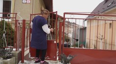 Tradícia, ktorá mnohým poriadne zdvihla tlak a narazila na odpor