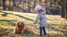 Pes má pozitívny vplyv na vývoj dieťaťa. Toto všetko dokáže uňho zlepšiť