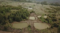 Kysuce stále viac trápia povodne, dôvodom je veľká ťažba dreva. Ochranári prišli s riešením