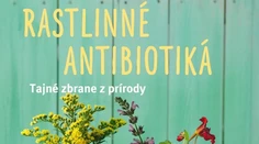 Rastlinné antibiotiká – liečivé a neškodlivé!
