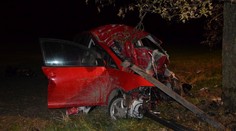 Ďalšia tragická dopravná nehoda, muž (†36) narazil do stromu