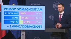 Pre domácnosti sa cena elektriny nezmení, plyn aj teplo zdražie o 15 %. Na boj s krízou dostanú 3000 eur