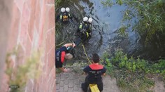 V rieke Rýn, ktorá je zdrojom pitnej vody v Európe, našli neuveriteľné množstvo elektrokolobežiek