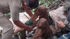 Vyhladovanú Američanku našli pripútanú reťazou k stromu v Indii. Exmanžel ju tam nechal čakať na smrť