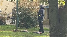 VIDEO: Zásah NAKA v Bratislave mal nečakaný koniec. Na policajtov zaútočil pes, museli ho zastreliť