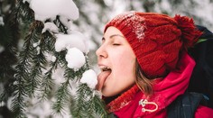 Konzumácia pol dňa starého snehu je zdravotne neškodná