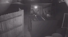 Prešibaný medveď sa nevzdal. Keď sa mu nepodarilo dostať k smetiam, ukradol celý kontajner