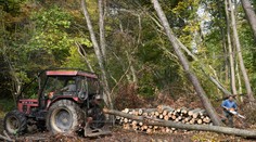 Ako to bude s cenami dreva tento rok? Zisťovali sme, či by ste si mali už teraz robiť zásoby