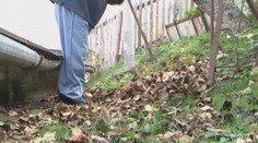 Nie každý má možnosť opadané lístie kompostovať. O tomto bezplatnom riešení mnohí ani netušia
