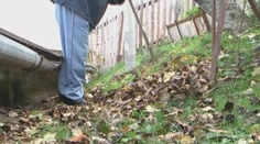 Nie každý má možnosť opadané lístie kompostovať. O tomto bezplatnom riešení mnohí ani netušia