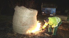 Ovocinári bojujú s nočnými mrazmi. Marhuliam zvyknú prikúriť