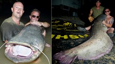 Na dovolenku v Španielsku nikdy nezabudnú. Britskí rybári chytili v rieke Segre obrovského sumca