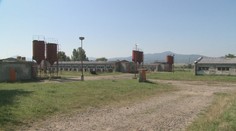 Príbeh prvého veľkochovu na Slovensku, ktorý zlikvidoval africký mor