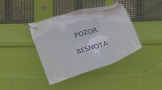 Výskyt besnoty na východe Slovenska sa prejavil aj na hraniciach. Platia tam prísnejšie podmienky