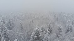 Aj Česko zasiahla snehová chumelica. Sprevádzal ju tam málo častý jav